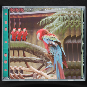 ⭐黄⭐色⭐视⭐频⭐
